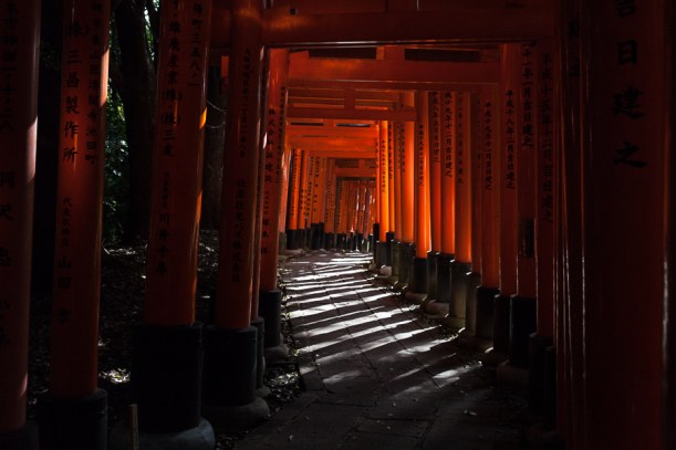 101.02 Pathway to tranquility (IMG_7865)